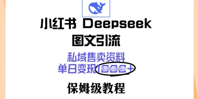 小红书Deepseek图文引流，私域售卖资料，单日变现多张，保姆级教程-超好资源网