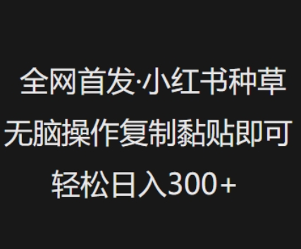 全网首发，小红书种草无脑操作，复制黏贴即可，轻松日入3张-超好资源网