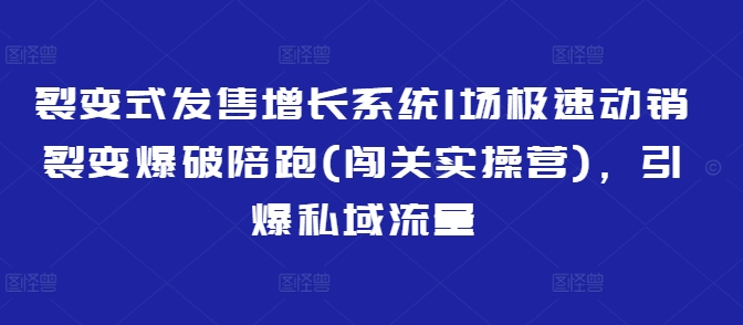 裂变式发售增长系统1场极速动销裂变爆破陪跑(闯关实操营)，引爆私域流量-超好资源网