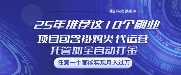 25年推荐这10个副业项目包含褂鸡类、代运营托管类、全自动打金类【揭秘】-超好资源网