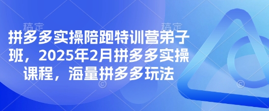 拼多多实操陪跑特训营弟子班，2025年2月拼多多实操课程，海量拼多多玩法-超好资源网