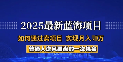 2025蓝海项目，普通人如何通过卖项目，实现月入过W，全过程【揭秘】-超好资源网