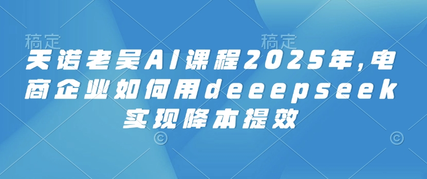 天诺老吴AI课程2025年，电商企业如何用deeepseek实现降本提效-超好资源网