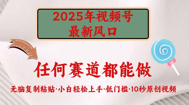 （14453期）2025年视频号新风口，低门槛只需要无脑执行-超好资源网