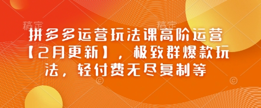 拼多多运营玩法课高阶运营【2月更新】，极致群爆款玩法，轻付费无尽复制等-超好资源网
