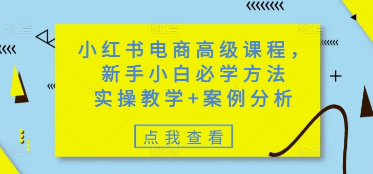 小红书电商高级课程，新手小白必学方法，实操教学+案例分析-超好资源网